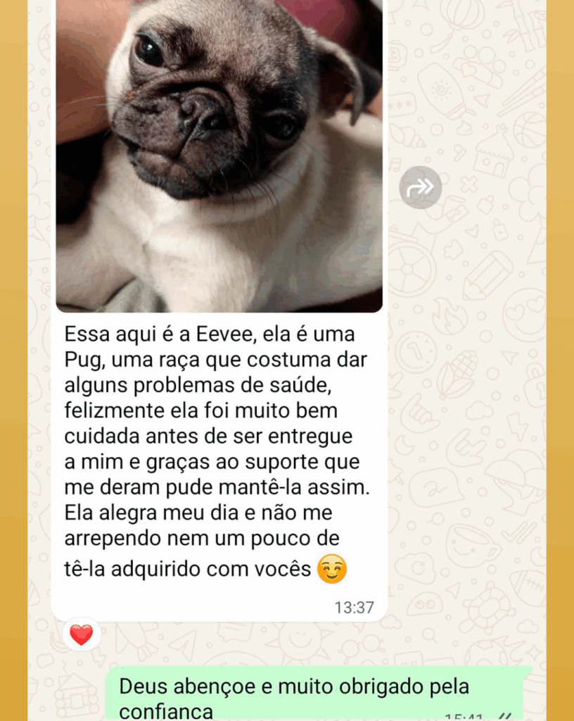 DEPOIMENTO DE CLIENTE 1