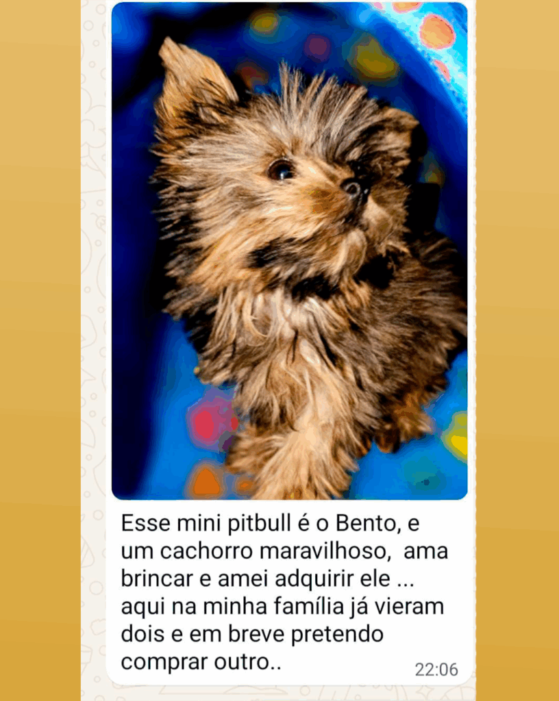 DEPOIMENTO DE CLIENTE 2