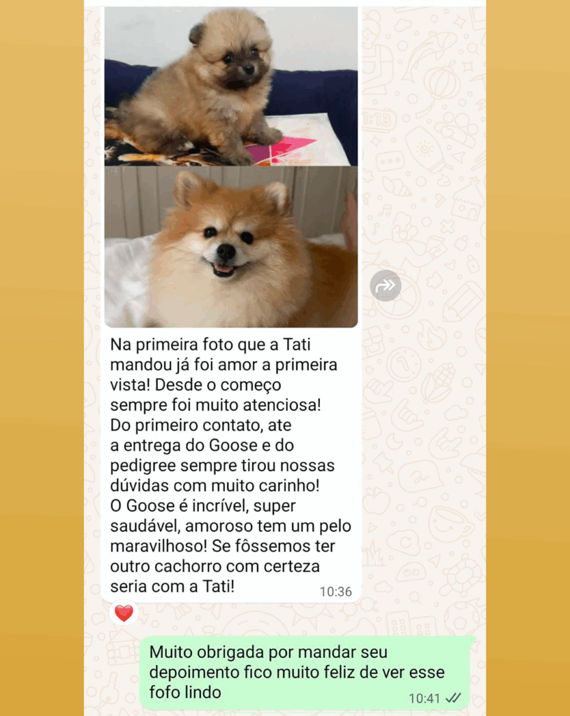 DEPOIMENTO DE CLIENTE_7